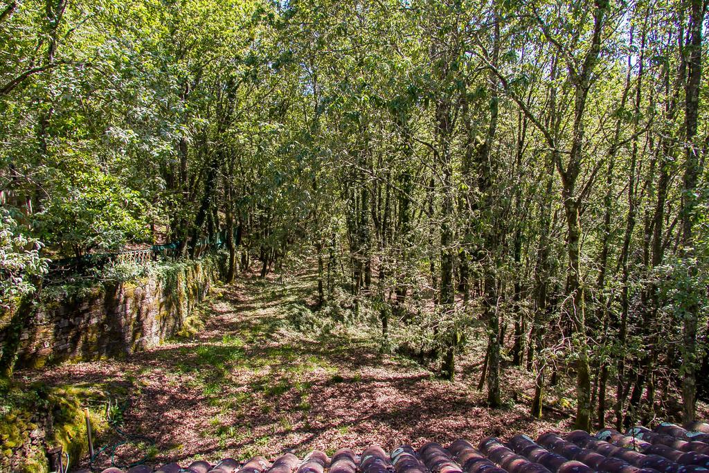 Вилла Liiiving In Caminha | Oak Tree Chill House Экстерьер фото